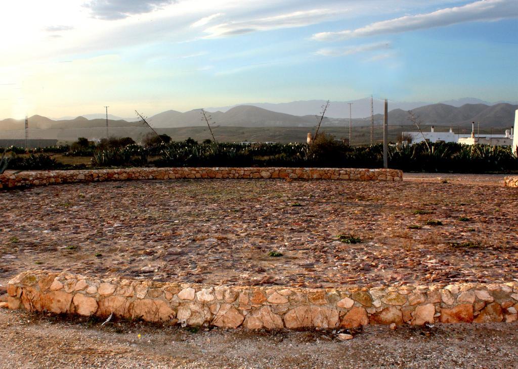 Olivares Rural Los Albaricoques Dış mekan fotoğraf
