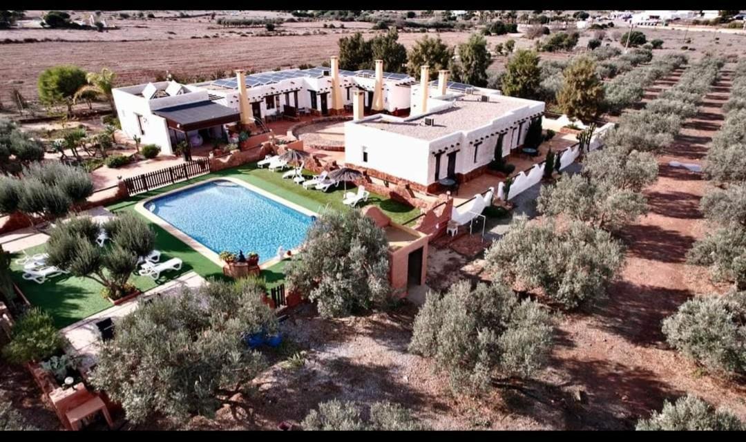 Olivares Rural Los Albaricoques Dış mekan fotoğraf