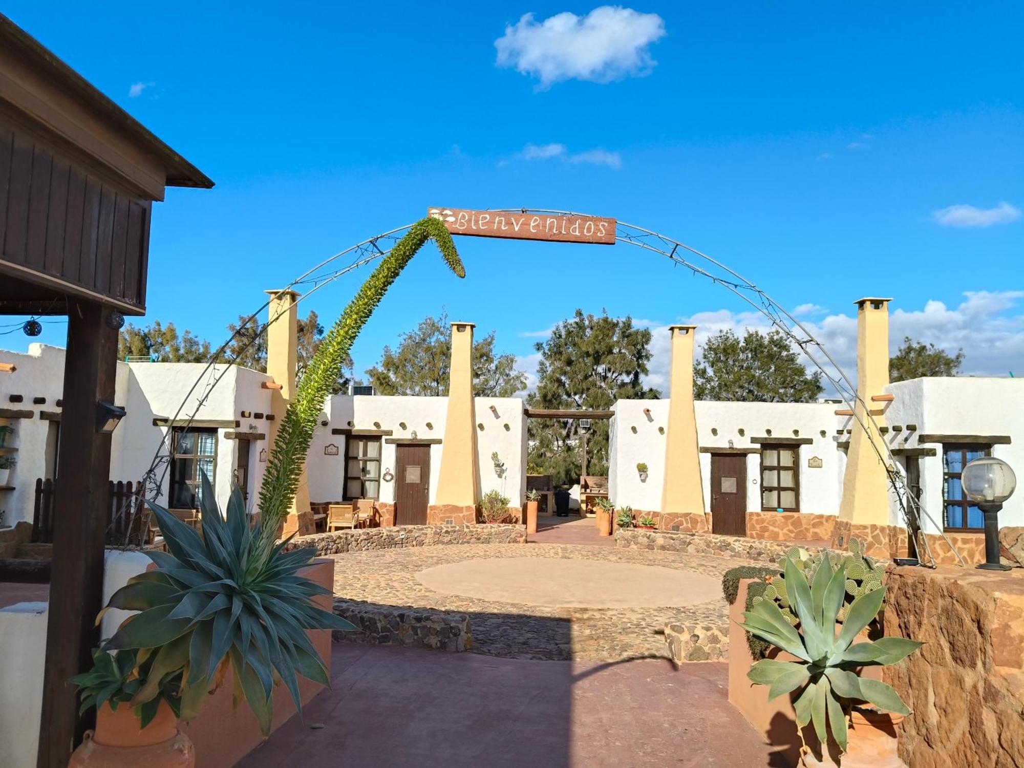 Olivares Rural Los Albaricoques Dış mekan fotoğraf