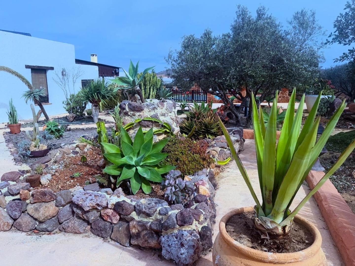 Olivares Rural Los Albaricoques Dış mekan fotoğraf
