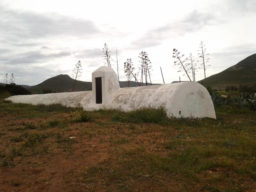 Olivares Rural Los Albaricoques Dış mekan fotoğraf