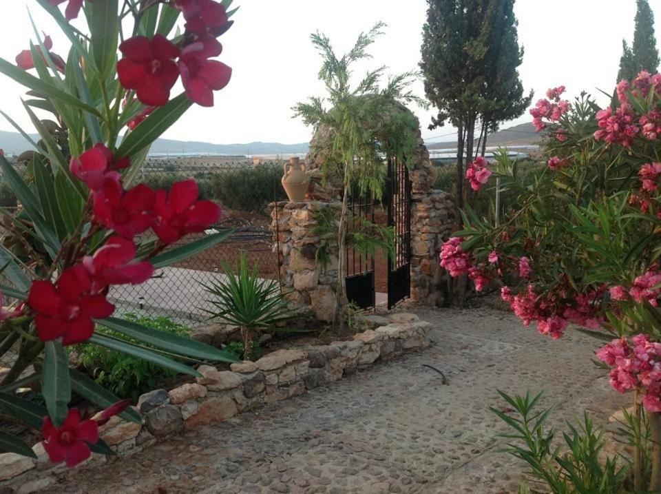 Olivares Rural Los Albaricoques Dış mekan fotoğraf