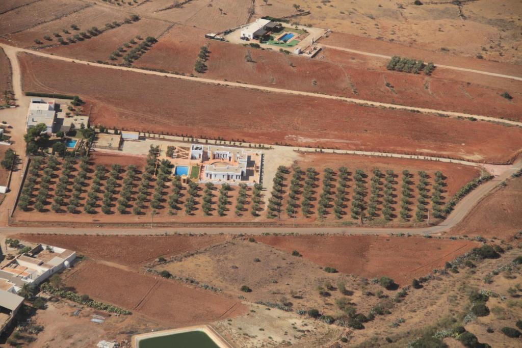Olivares Rural Los Albaricoques Dış mekan fotoğraf
