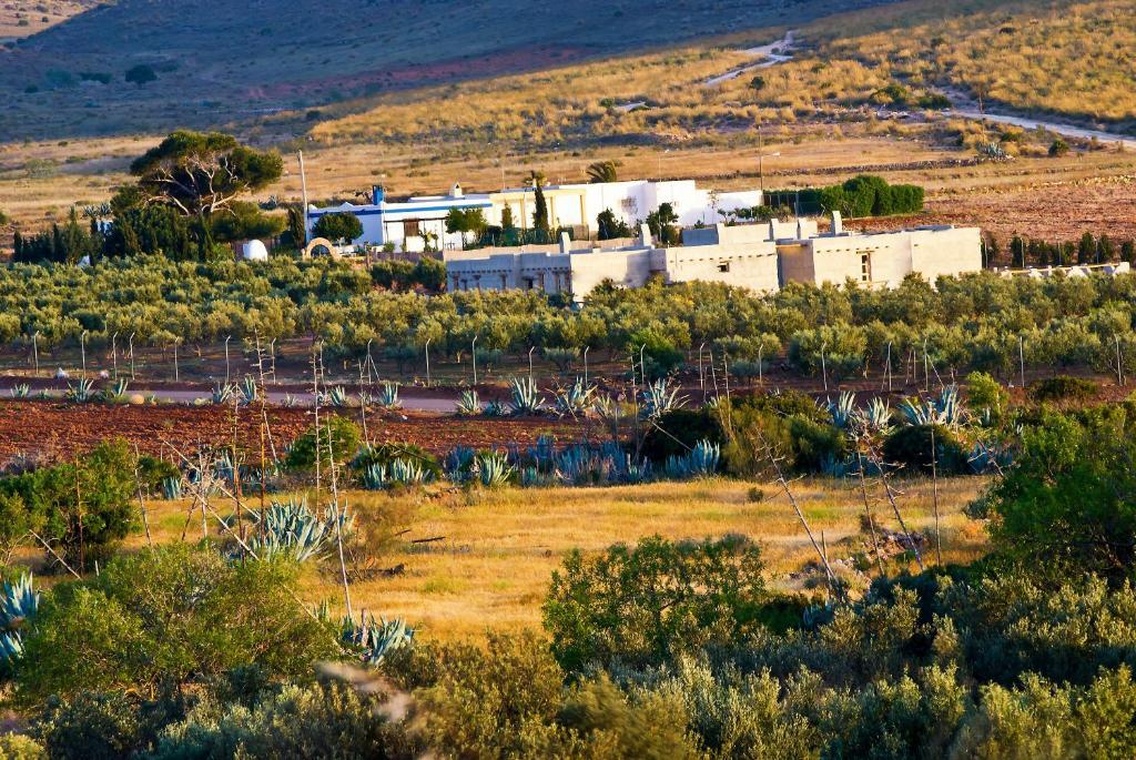 Olivares Rural Los Albaricoques Dış mekan fotoğraf