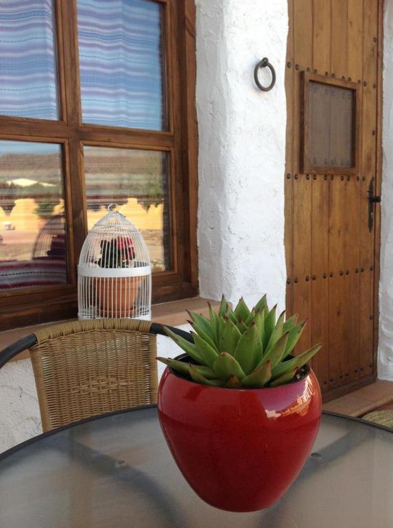 Olivares Rural Los Albaricoques Dış mekan fotoğraf